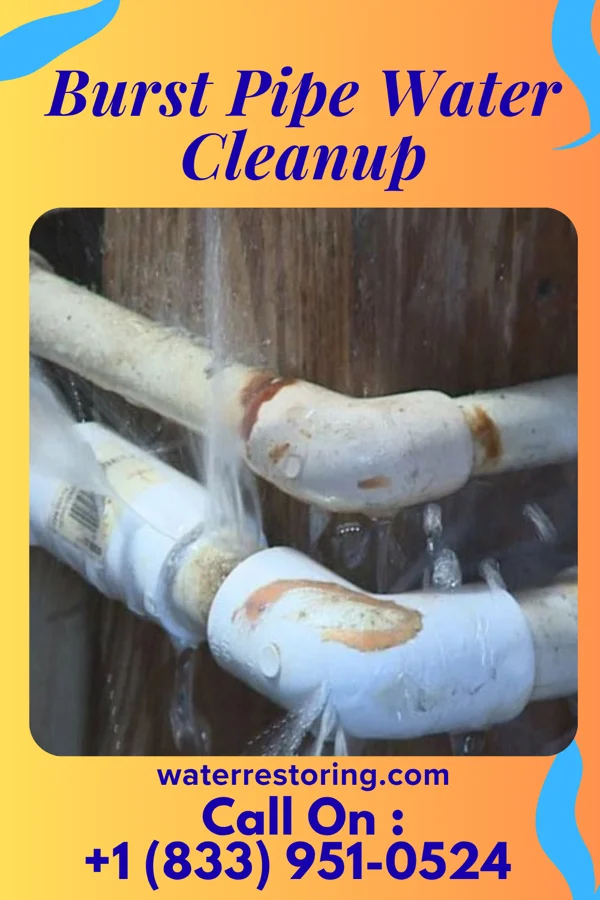 Burst Pipe Water Cleanup in Logan, WV