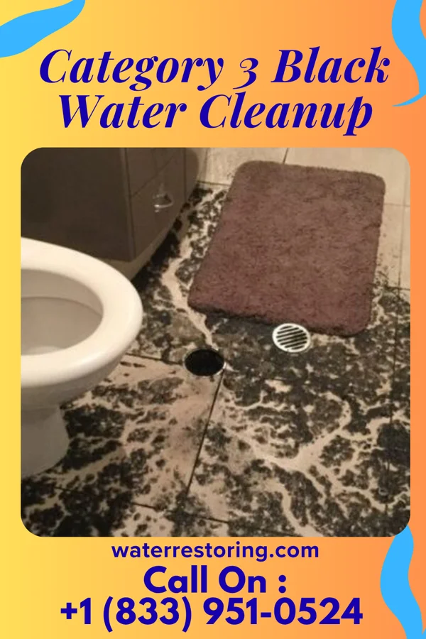 Category 3 Black Water Cleanup in Logan, WV