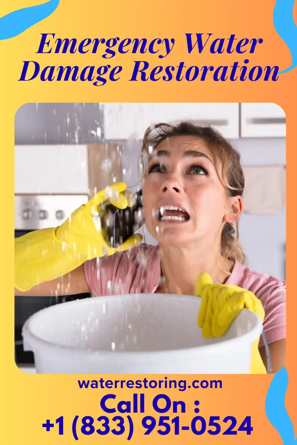 Emergency Water Damage Restoration in Logan, WV