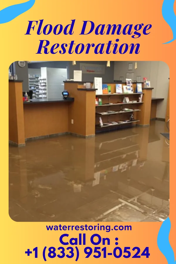 Flood Damage Restoration in Logan, WV