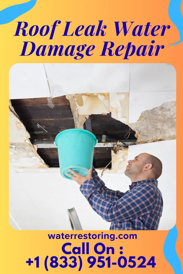 Roof Leak Water Damage Repair in Logan, WV