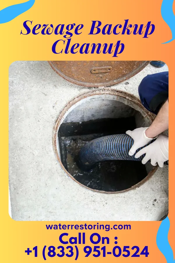 Sewage Backup Cleanup in Logan, WV