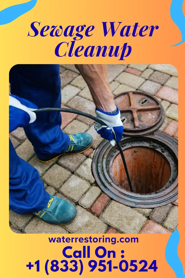 Sewage Water Cleanup in Logan, WV