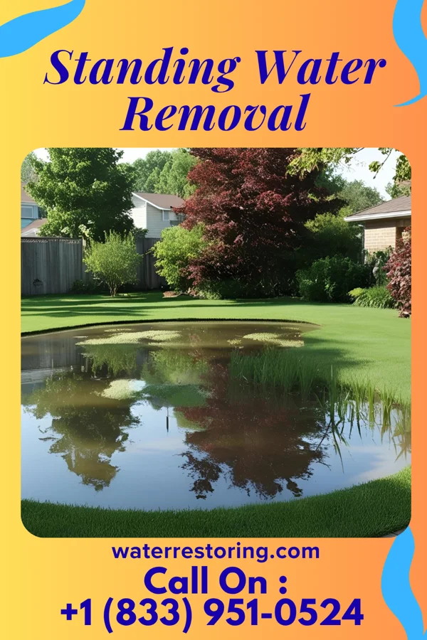 Standing Water Removal in Logan, WV
